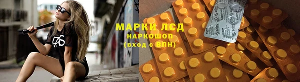 прущие крисы Абинск