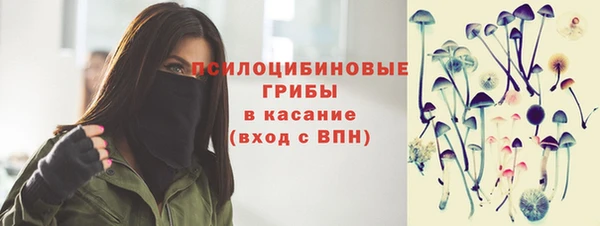 соль ск Алексин