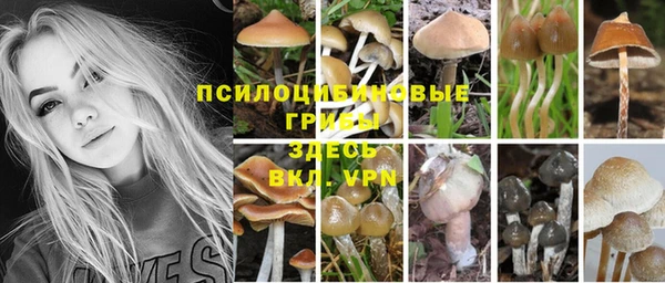 ALPHA-PVP Ростов