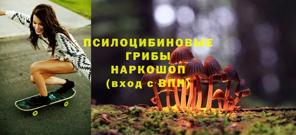 прущие крисы Абинск